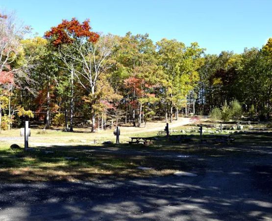 Douglas Forest RV Resort