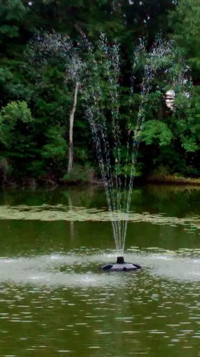 Glen Wood II 55 Plus Community 2