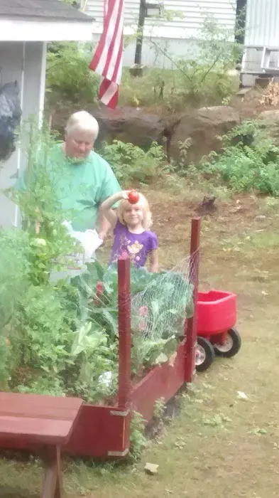 Glen Wood II 55 Plus Community 3