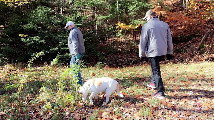 Hunter's State Line Campground-Variety 4