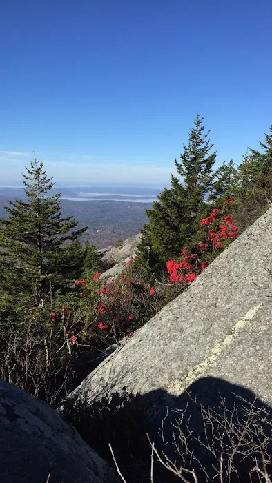 Hunter's State Line Campground-Variety 5