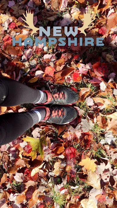 Hunter's State Line Campground-Variety 1