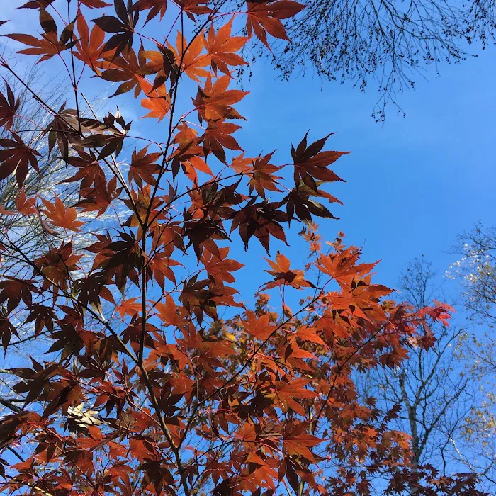 Hunter's State Line Campground-Variety 3