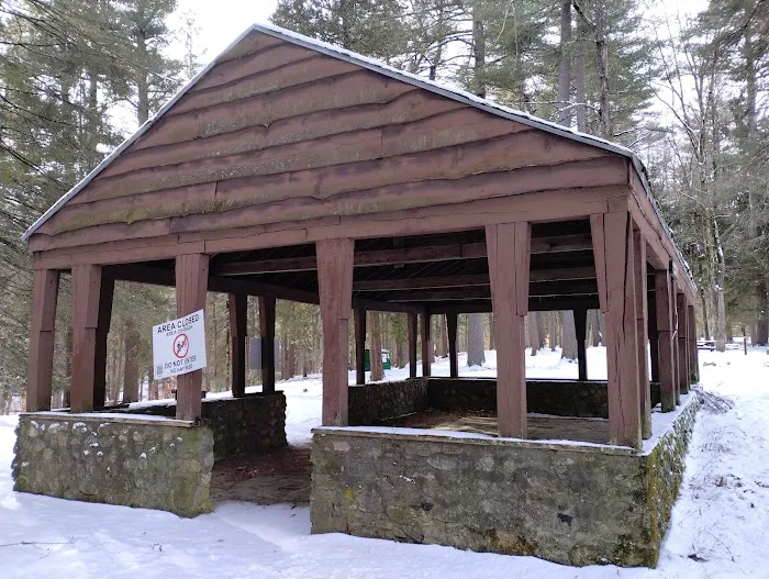 Willard Brook State Forest Campground 4