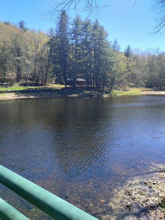 Willard Brook State Forest Campground 3