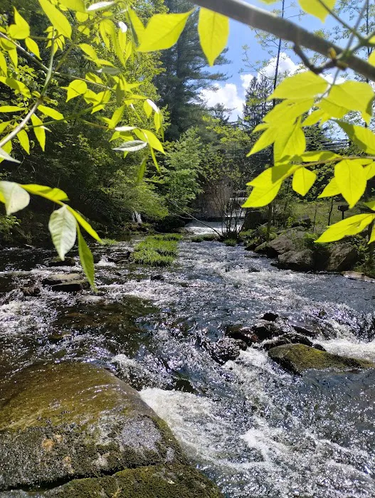 Willard Brook State Forest Campground 1