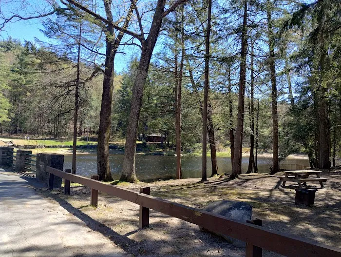 Willard Brook State Forest Campground 6