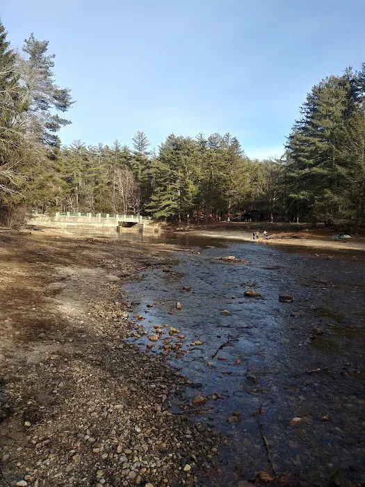 Willard Brook State Forest Campground 8