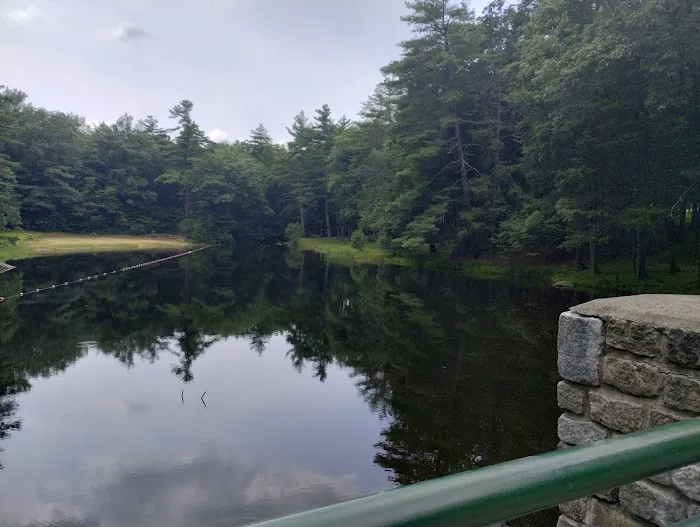 Willard Brook State Forest Campground 7