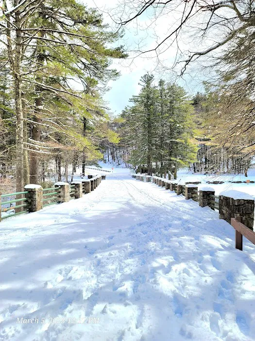 Willard Brook State Forest Campground 2