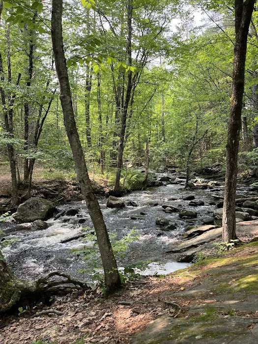 Willard Brook State Forest Campground 0