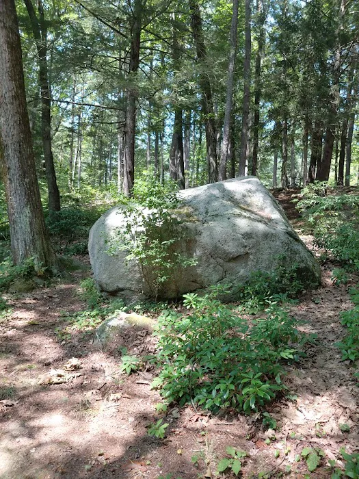 Willard Brook State Forest Campground 9