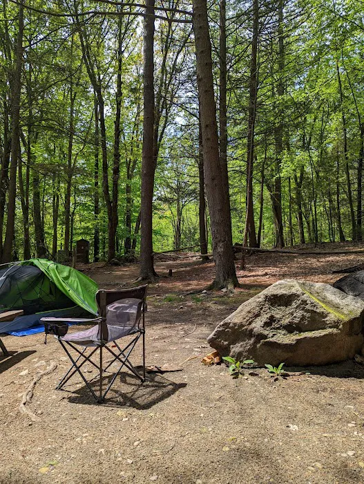 The Pines Campground 9