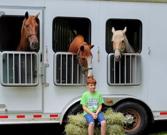 Frog Hollow Horse Camp