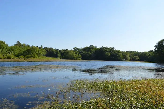 Nature's Campsites 6