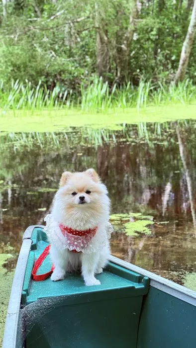 Green Falls Campground 0