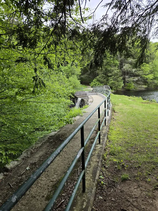 Green Falls Campground 8