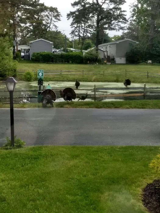 Riverwoods Mobile Home Community 1