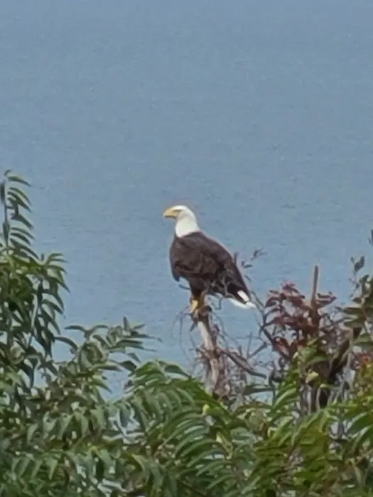 Dorothy P. Flint 4-H Camp, Cliff House East 3