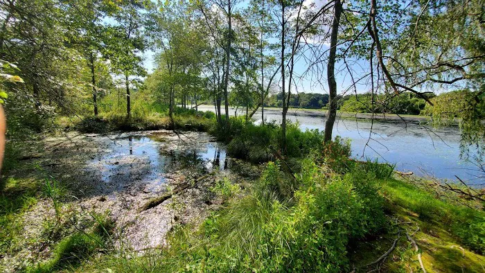 Peconic River Campground 4