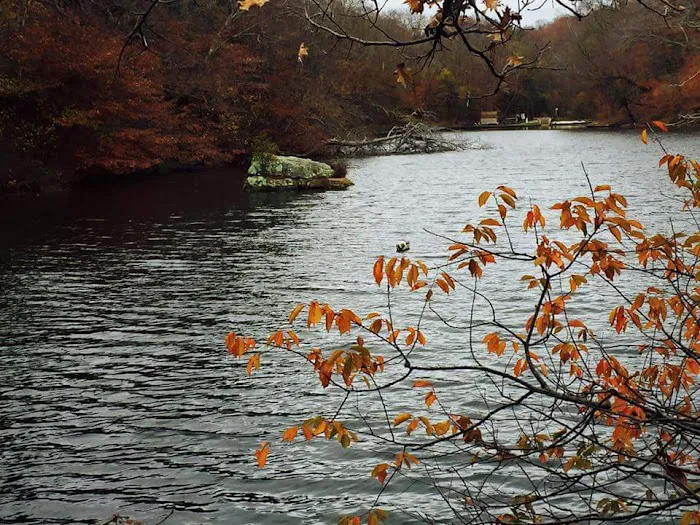 Cub Scout Day Camp 7