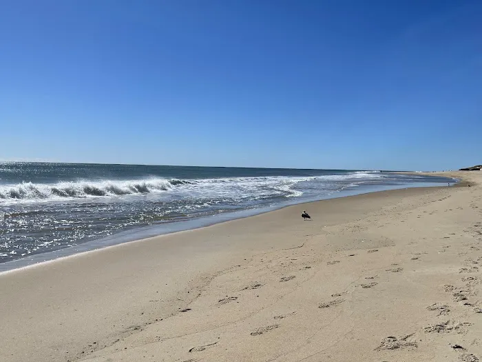 Hither Hills State Park Campground 4