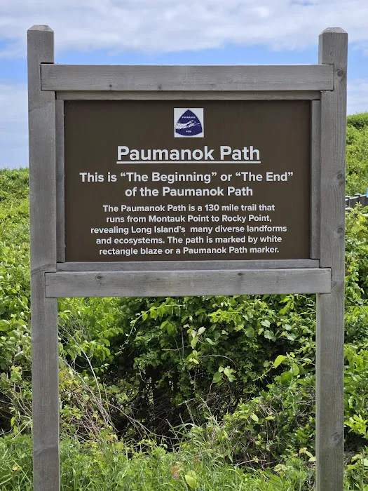 Paumanok Path Campsite 0