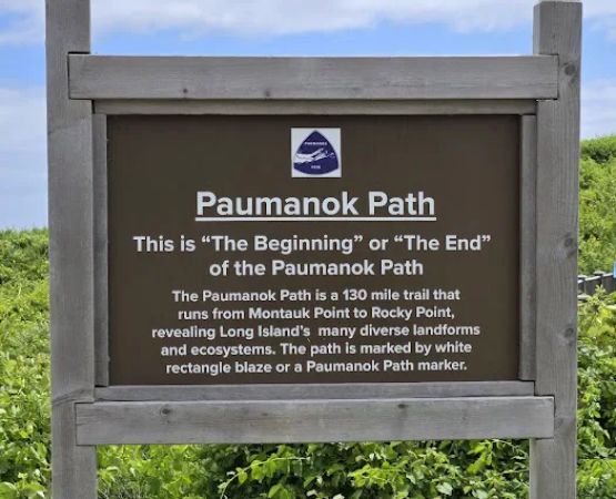 Paumanok Path Campsite