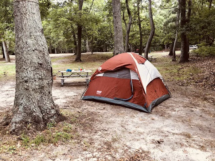 Wildwood State Park Cottages 7