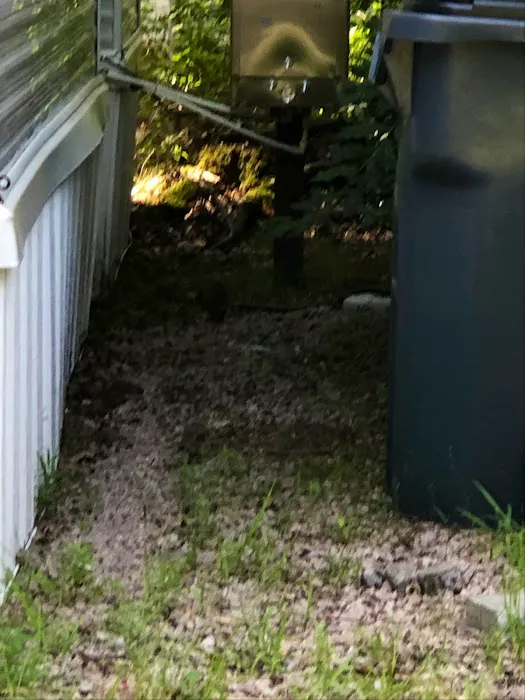 Holly Tree Camper Park 4