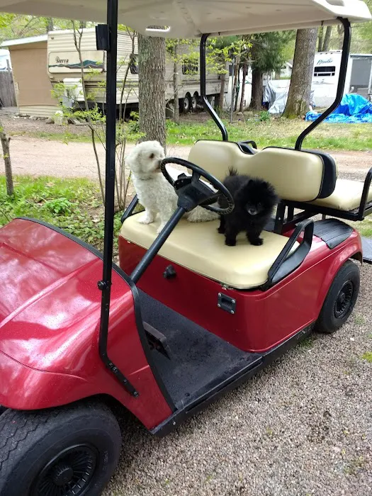 Holly Tree Camper Park 6