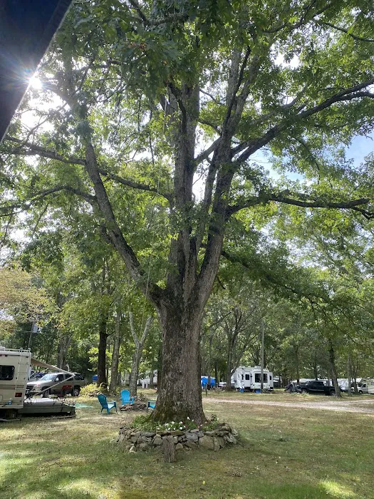 Frontier Camper Park LLC 8