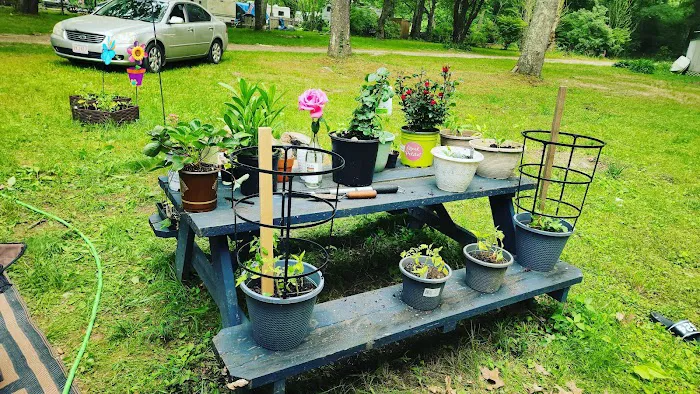 Frontier Camper Park LLC 3