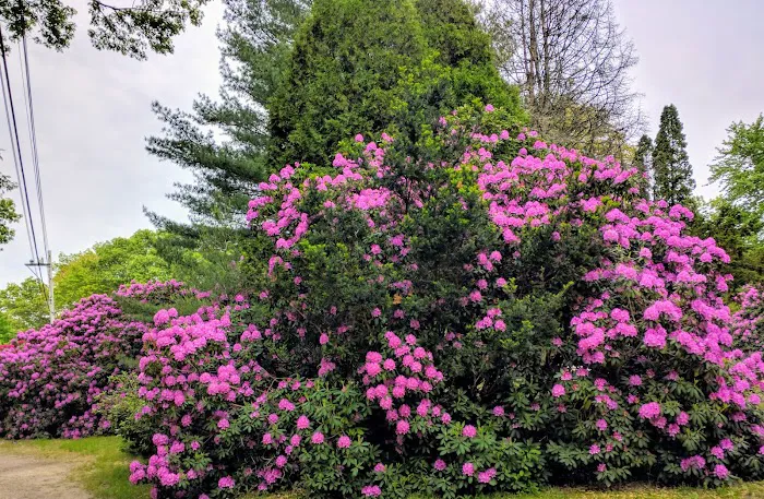 Frontier Camper Park LLC 7