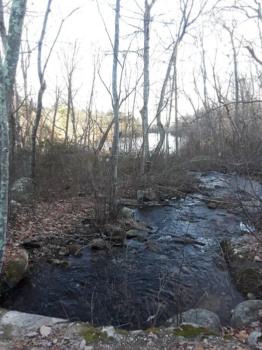 Campsite Donald Dewing 6