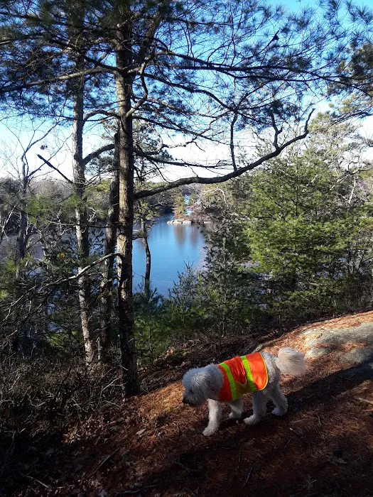 Campsite Donald Dewing 4