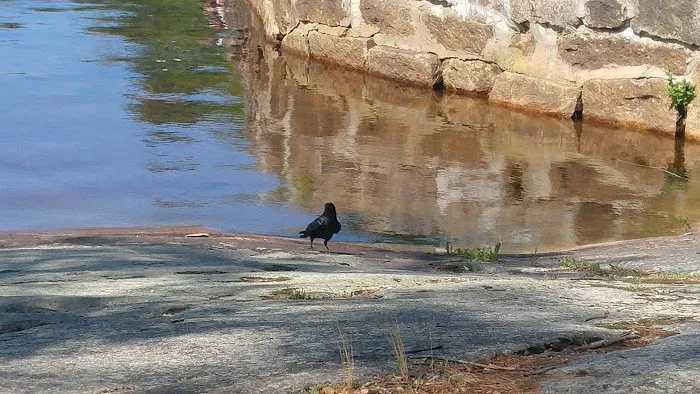 Campsite Donald Dewing 5