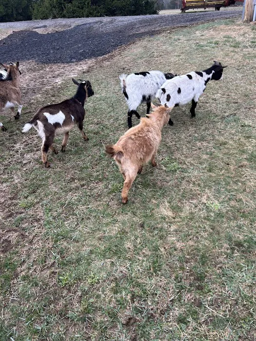 Getaway Ranch and Campsites 3