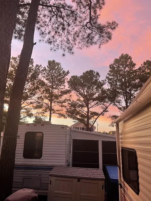 Pine Tree Campground 8