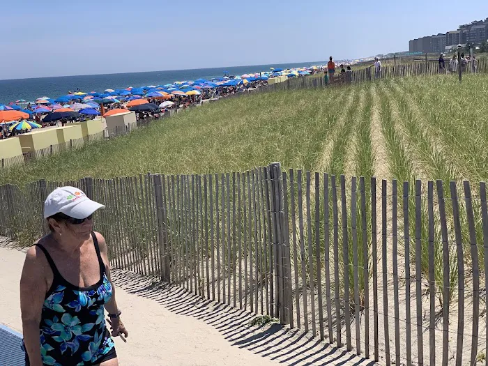 Pine Tree Campground 6