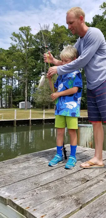 Pine Tree Campground 7