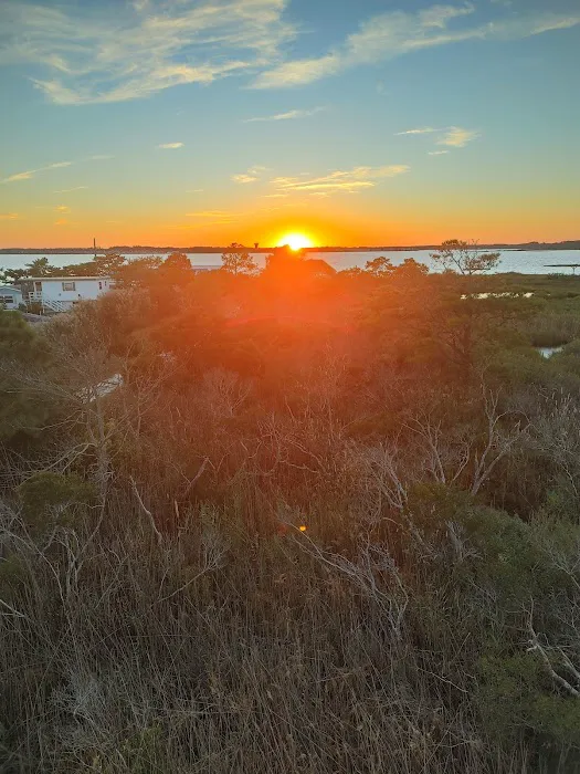 Summer-Time Trailer Park 1