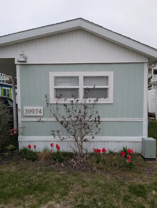 Summer-Time Trailer Park 6