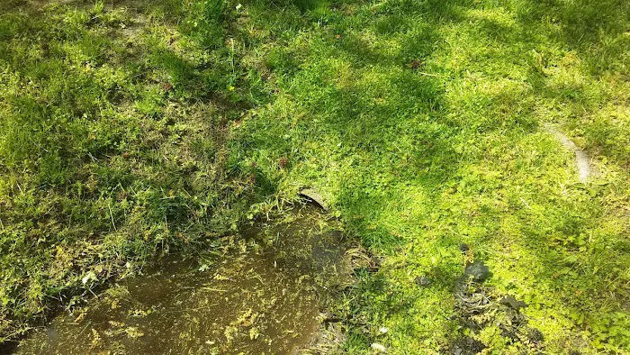 Wilson Landing Manufactured Home Community 1