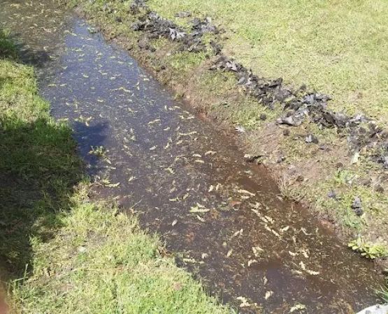 Wilson Landing Manufactured Home Community