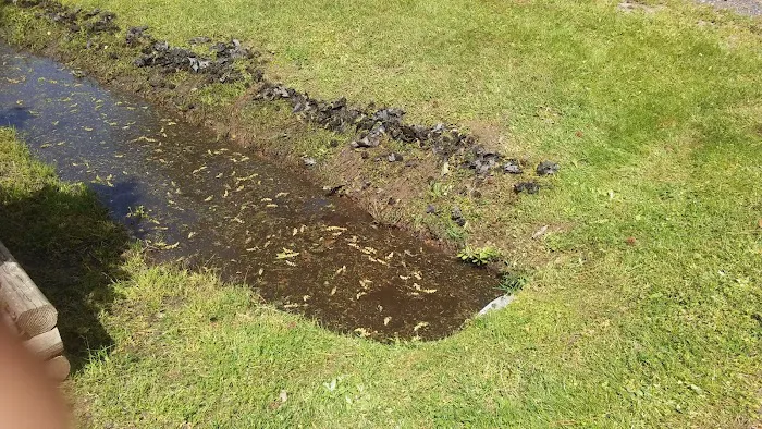 Wilson Landing Manufactured Home Community 6