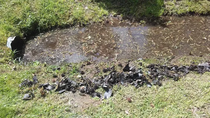 Wilson Landing Manufactured Home Community 8