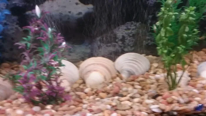 Wilson Landing Manufactured Home Community 7