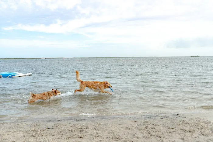 Sun Outdoors Ocean City 3