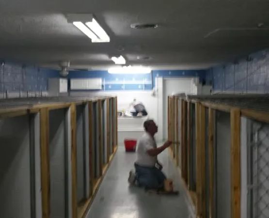 Paws N Claws Cottages